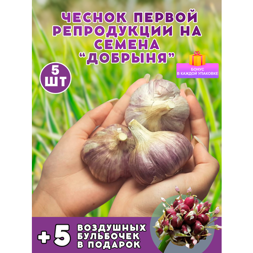 ������ ������ ������ �� ������� 