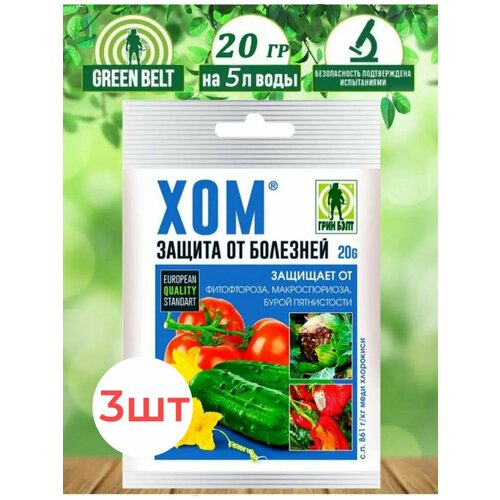 ������ ������ �������� ������ �������� ��� 3 �� ����