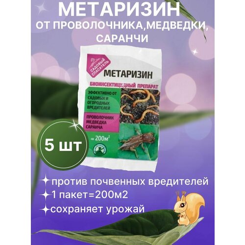 ������ ������ ��������� ��� ���������� �� ������������ ������� �������� 5 �� ����