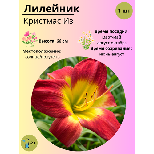 ������ ������ �������� �������� ��, ����������� ����� / ������ 1 �� ����