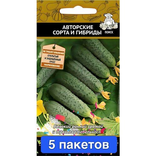 ������ ������ ������ ������ ����� 