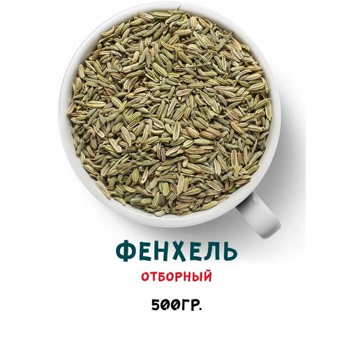 ������ ������ ������ ������� ����������� 500 ��. ����