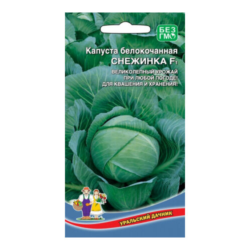 ������ ������ ������ ������� ������������ �������� F1 0.15� (��������� ������) ����