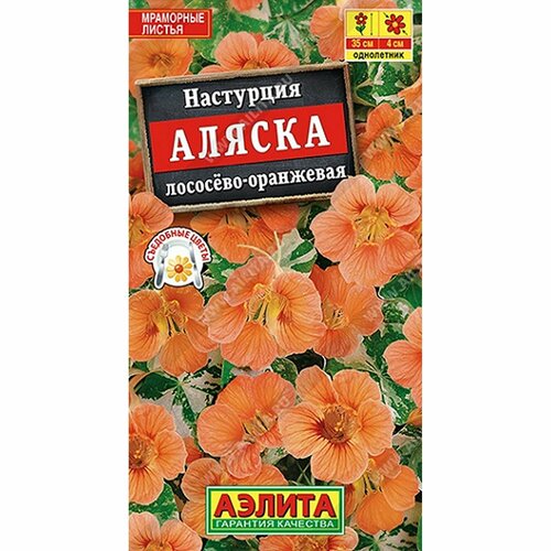 ������ ������ ������ ��������� ������ ��������-���������, ����������, (������) 5�� ����