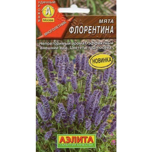 ������ ������ ���� ���������� (3 ��������), ������ ����