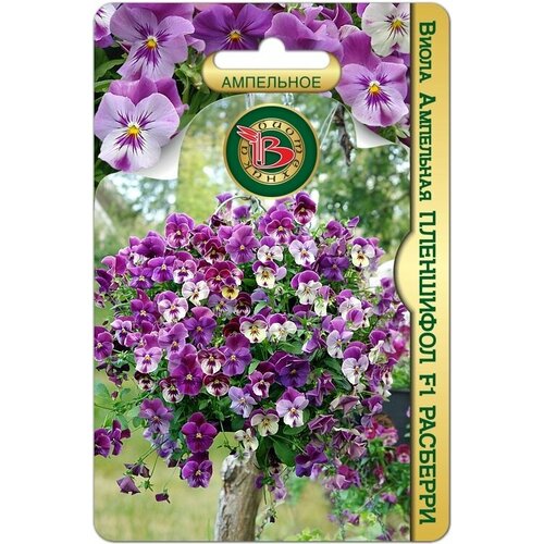 ������ ������ ������ ����� ��������� ��������� F1 