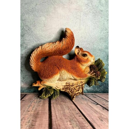 ������ ������ ����� ����� 20�24 ����