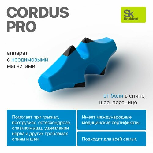  Cordus Pro ( ) -      .   -     , -,   