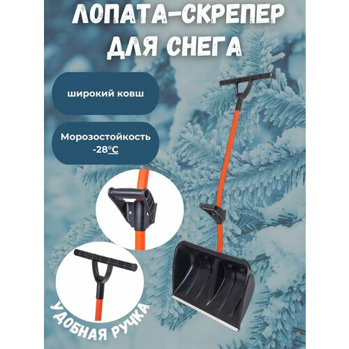 ������ ������ ������-������� ������ ��� ����� � ��������� �������� ����