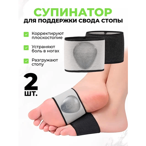 ������ ������ QuisLife - �������-���������� ��� ������������ ����