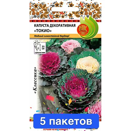 ������ ������ ����� ������� ������������ ����� 5 ������� ����