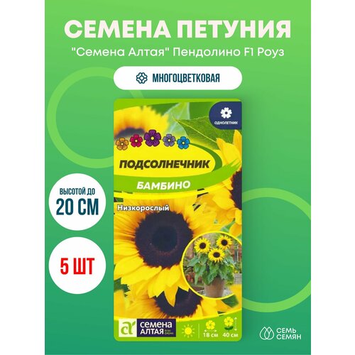 ������ ������ ������ ������� �������������� 