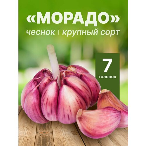 ������ ������ ���������� ������ ������ (�����������) �� ������� 7 ������� ����