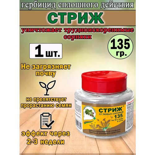 ������ ������ �������� �����, �� �������� ��������� ��������, 135 ��, 1�� ����