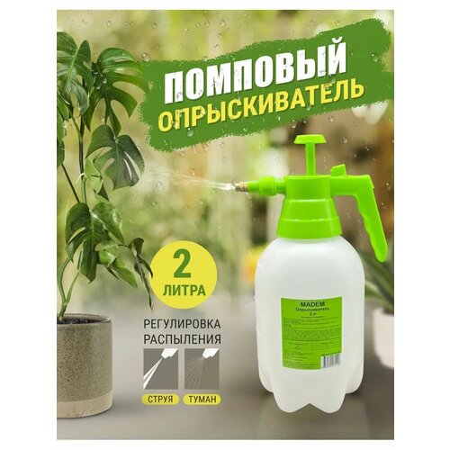 ������ ������ ������������� ������ , 2�, 