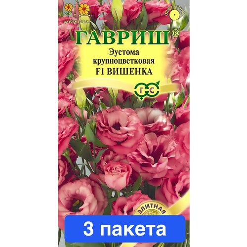 ������ ������ ����� ������� ������� F1 ��������������� 3 ������ ����