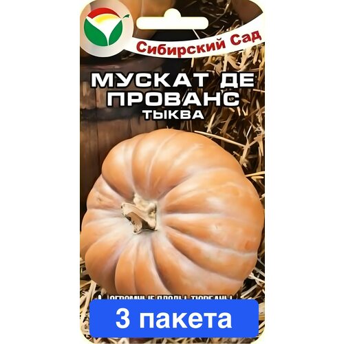 ������ ������ ������ ������ ��������� ��� 