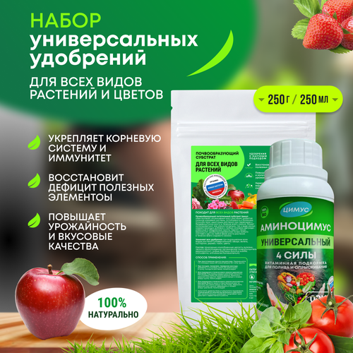 ������ ������ ����� + ���������� ������������� ��������� ��� �������� ����� 250 � + 250 �� ����