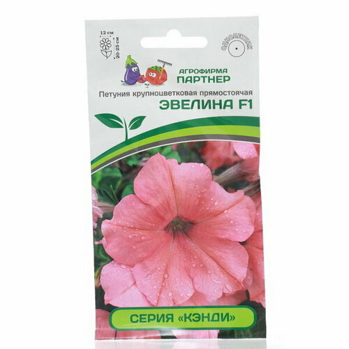 ������ ������ ������ ������ ������� ������������ ���������� 