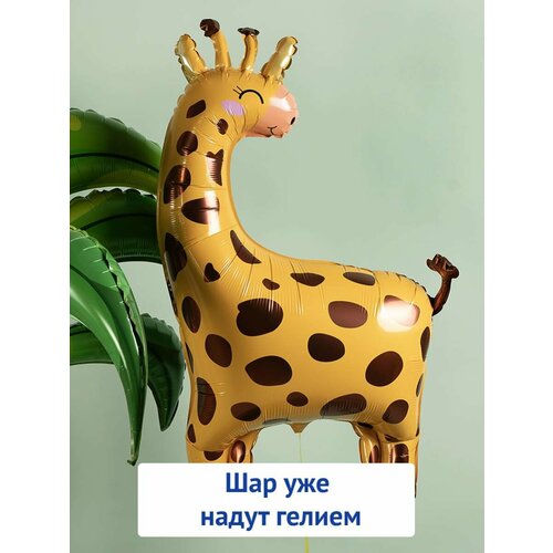 ������ ������ ��������� ��� � ������ �������������� ������ ������ ����� ����