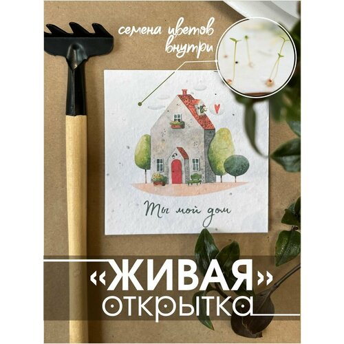 ������ ������ 