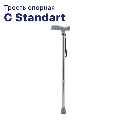   C Standart    -     , -,   