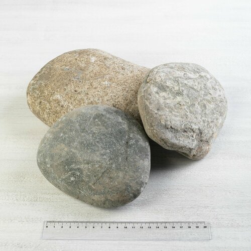 ������ ������ ������ ������ ������ 100-200 �� 3 �� (358) ����