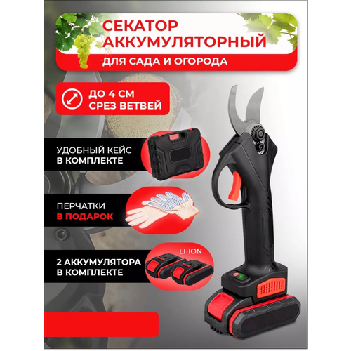 ������ ������ ������� �������������� ������� ��� ���� � �������: �������� � �������� � ������ ����