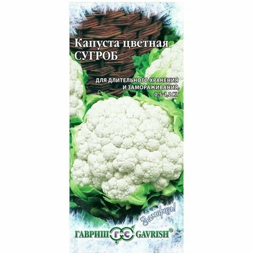 ������ ������ ������ ������� ������� ������, ������������, (������) 0,5� ����