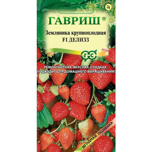 ������ ������ ������ ��������� (��������) ������ F1, ������������, 4��, ������, ������� ������� ����