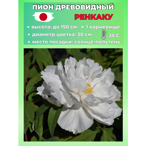 ������ ������ ���� ����������� �������, ������� 1 ����� ����