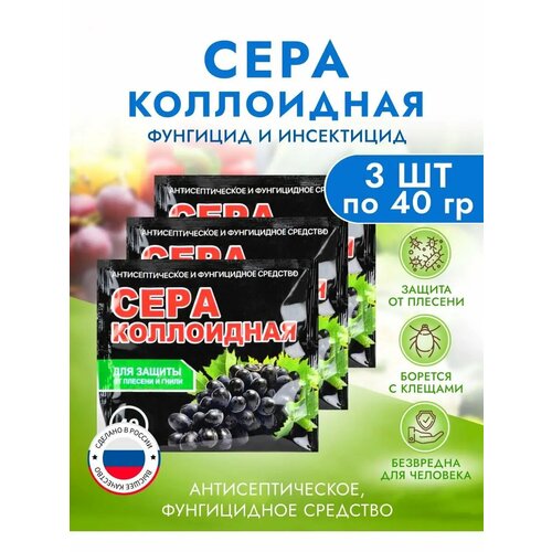 ������ ������ ���������� ����, �������� ������ �� ������� � �����, 3 ����� � �������� ����