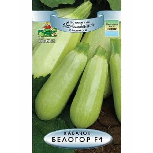 ������ ������ ������� 