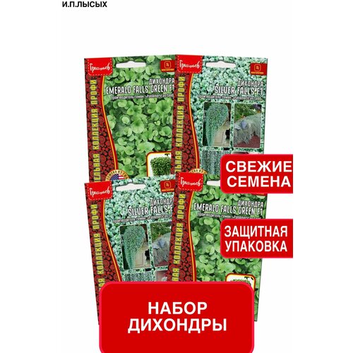 ������ ������ ����� ����� �������� ����