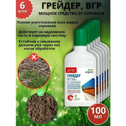 ������ ������ ������ �������� �������� �� �������� �������, ��� 100 �� 6 �� ����