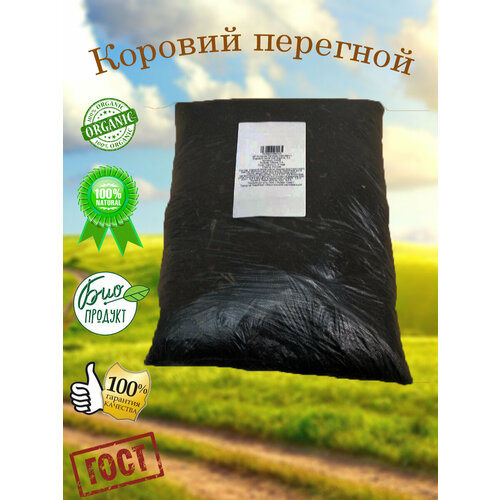 ������ ������ ������� �������� - ������������ ��������� ����