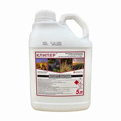 ������ ������ ������ (�� �������) 5 � ����