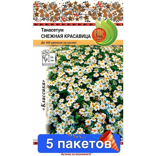 ������ ������ ����� ��������� ������� ��������� 5 ������� ����