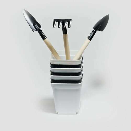 ������ ������ ����� ��� ������� ����