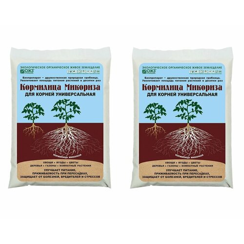 ������ ������ �������� ��������� �������� 2�� ����