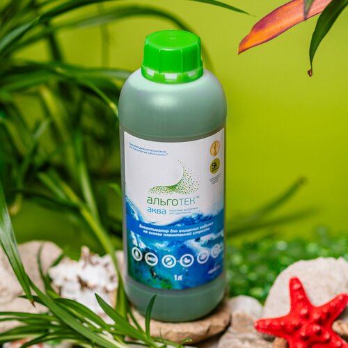 ������ ������ �������� ��� ����� - �������� ���� 1 � ����