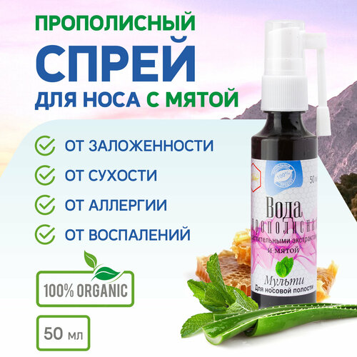 ������ ������ ����������� ����� �� �������� � ������������ ���� � ����� ������ - ������������ ��������, ��������, �������, 50 ��. ����