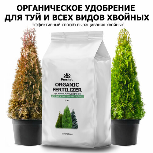 ������ ������ ������������ ��������� ������ 4 �� ��� ��� � ���� ����� ������� - ����������� ������� ����