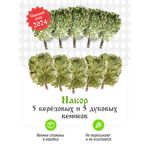 ������ ������ ����� ��� ���� ��������� � ������� �� 5 ���� ����