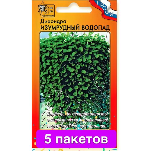 ������ ������ ����� �������� ���������� ������� F1 (10��) 5 ������� ����