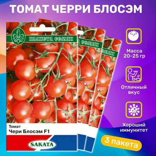 ������ ������ ������ ������ ����� ������ F1 ����