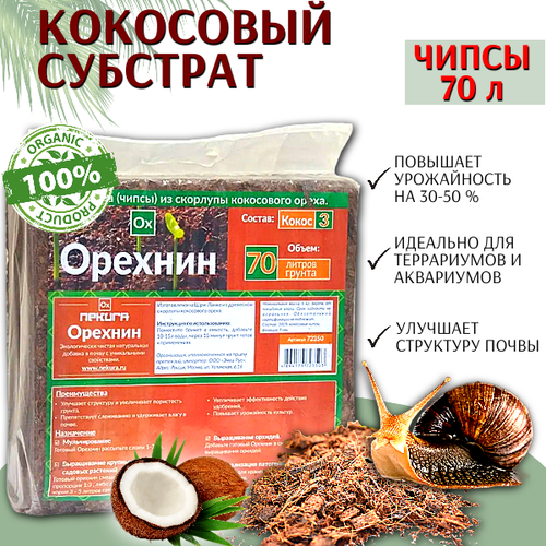 ������ ������ ������� ��������� �������� �������-3 ������ 70 ������ ����� ����