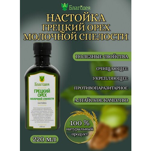 ������ ������ �������� ������� ���� �������� �������� 