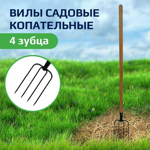 ������ ������ ���� �����-�������� 4 ���� ��������� �����, ����� ����� 30��, ���������� ���� ������� ��� ���� � �������� ����