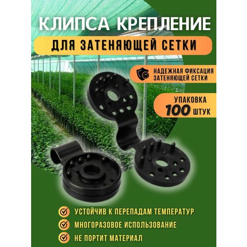 ������ ������ ���������/������ ��� ���������� ����� �������� 100 �� ����